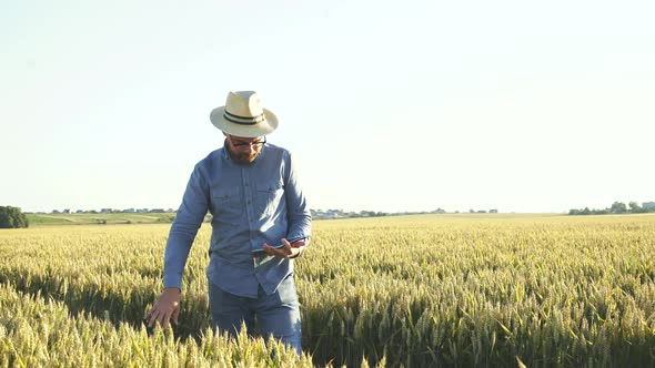 Young Farmer Checking the Wheat Ears on Field Using Tablet