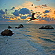 Sunset Ocean - VideoHive Item for Sale
