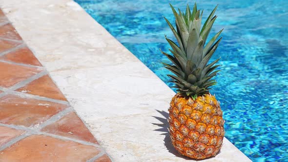 Pineapple Near Swimming Pool at Poolside