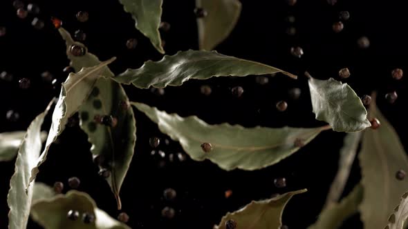 Super Slow Motion Shot of Flying Mix Spices Bay Leaf and Black Pepper in Black Background