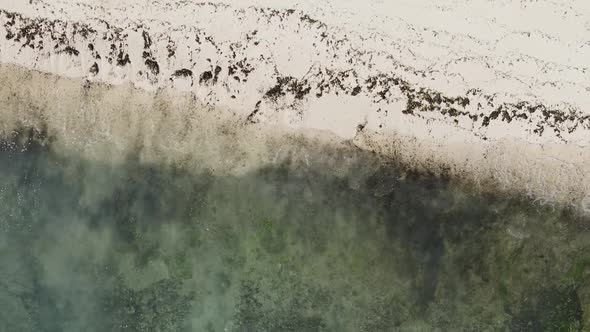 Zanzibar Tanzania  Vertical Video Empty Beach Slow Motion