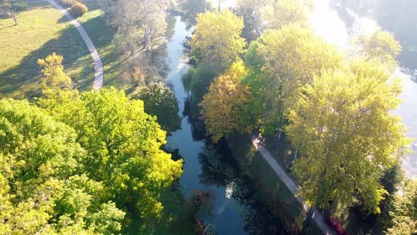 Flying Over View Trees Lake Meadow Dirt Paths and Landscape Design