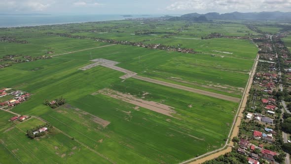 The Paddy Rice Fields of Kedah and Perlis, Malaysia