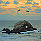 Seal Rocks - VideoHive Item for Sale