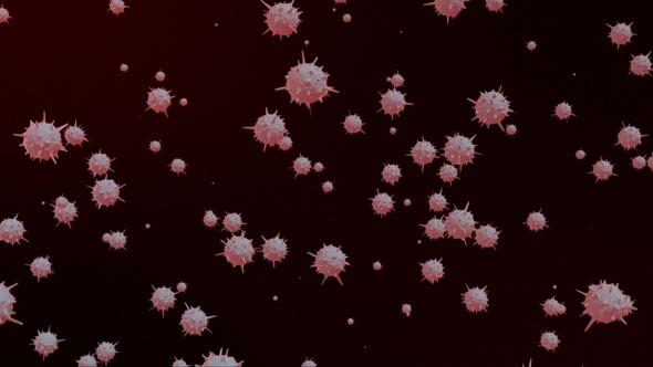 Novel Coronavirus Background