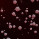 Novel Coronavirus Background - VideoHive Item for Sale