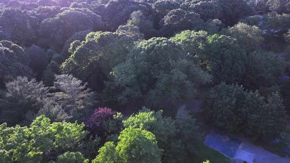 A high angle, aerial view of a park playground in the suburbs of Valley Stream, NY on a sunny day. T