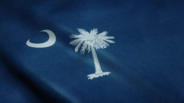 State Flag of South Carolina Waving in the Wind