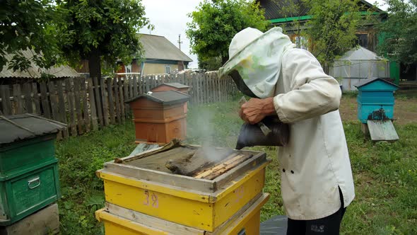 The Beekeeper Looks After the Hive