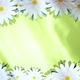 Spinning Chamomiles On Card Stylish Yellow Background - VideoHive Item for Sale