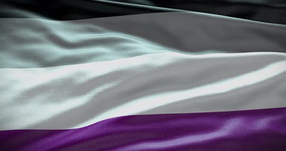 Asexual waving flag loop 4K