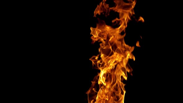 Burning fire. Fire flames on black background. Slow motion
