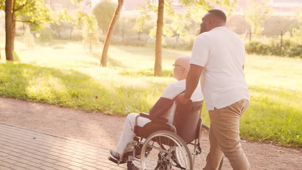 African-American caregiver and old disabled man in a wheelchair. Nurse and patient.