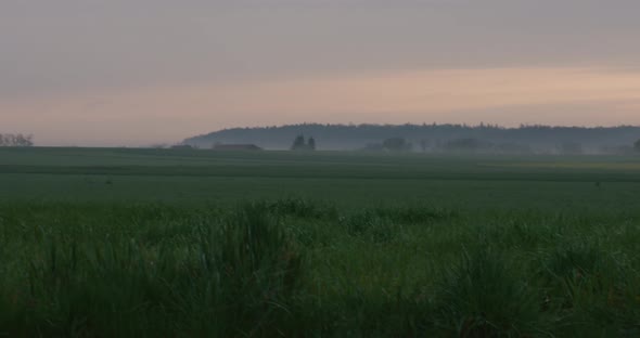 Pan up from grass to scenic reveal of fogged Balvarian landscape at early morning in Schonaich, Germ