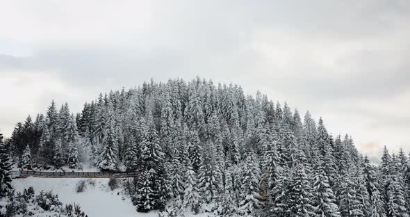 People Walking At Wooden Bridge To Mountain Forest Covered In Snow During Winter At Daytime. - timel