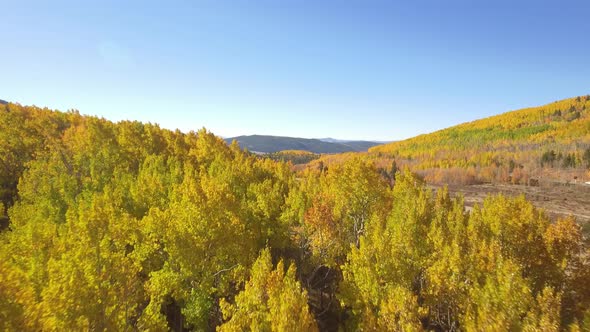 Fall colors on Kenosha Pass, Colorado