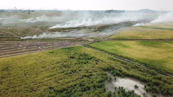 Aerial view open fire at rice paddy field 