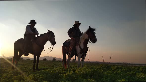 Equestrian Riding Horse at Sunset in Field. Cowboy in Hat at Brown Horse