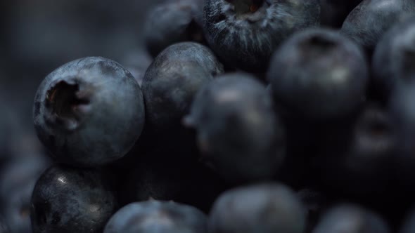 Macro Close Up of Fresh Tasty Blueberry or Delicious Blueberries in the Sunlight Extreme Close Up