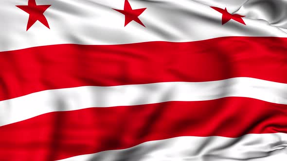 Washington D.C Flag