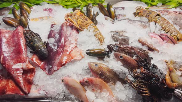 Close Up Footage of a Variety of Fresh Seafood on the Counter with Fine Crushed Ice Crabs Lobsters