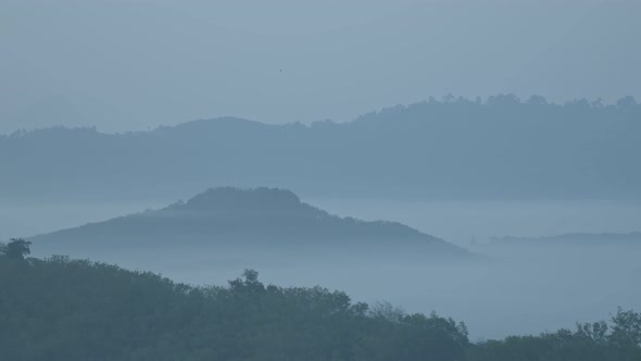 Foggy Valley In The Morning.