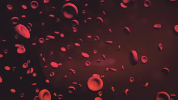 Red blood cells