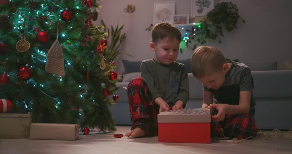 Two Boys Together Open a Christmas Present Under the Tree