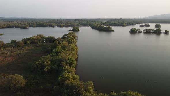 Drone View of River Over Mangroves Kerala 4k