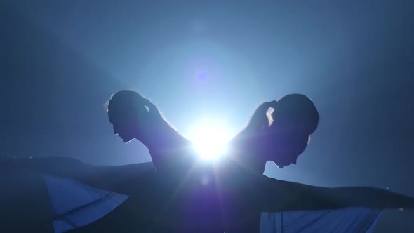 Close-up of Dancers Performing Dancing Elements of Modern Ballet. Slow Motion
