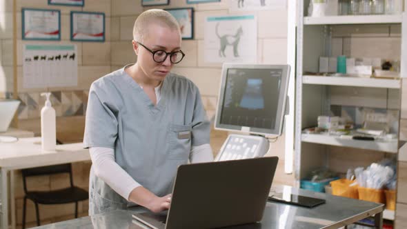 Female Vet Working on Laptop in Clinic