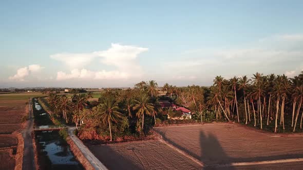 Aerial view Malays village near Penaga