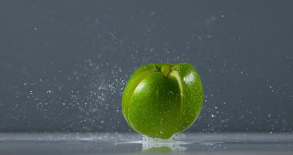 Granny Smith Apple, malus domestica, Fruit falling on Water against Black Background, Slow Motion 4K