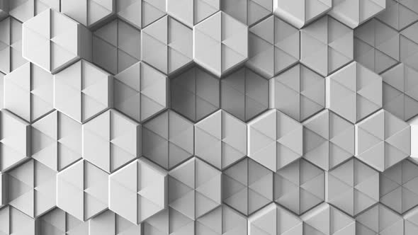 White Hexagon Background