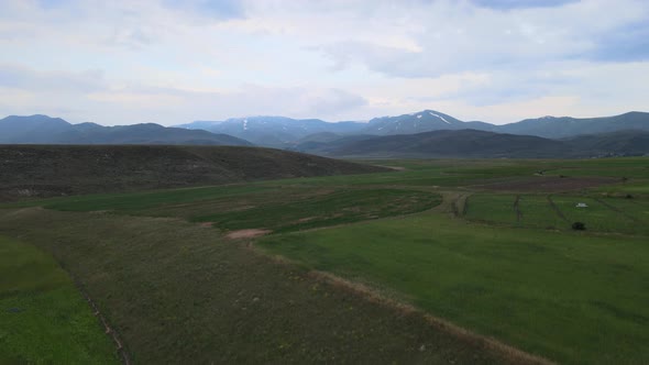 green fields landscape