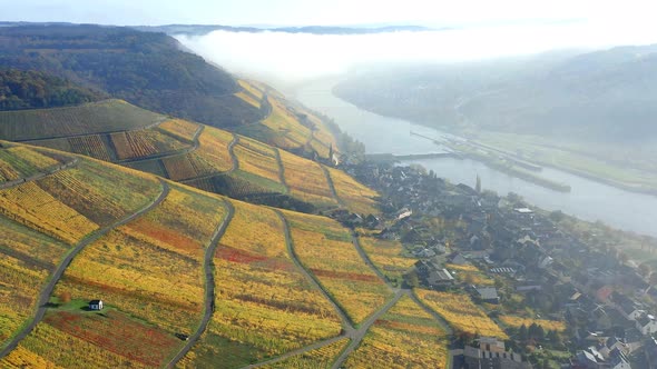 Moselle in autumn, Bernkastel-Kues, Rhineland-Palatinate, Germany