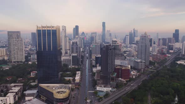 Aerial view of green trees in Lumpini Park, Sathorn district, Bangkok Downtown Skyline