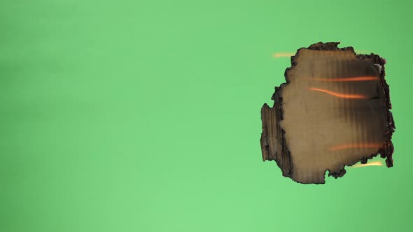 Cardboard Burning alt