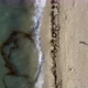 View at Sunny Sand Beach with Rolling Waves in Miami in USA - VideoHive Item for Sale