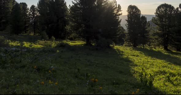 Mountain Meadow Timelapse. Wild Nature and Rural Field. Clouds, Trees, Green Grass and Sun Rays