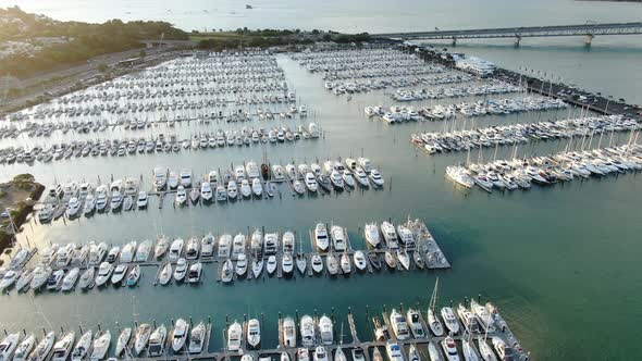 Viaduct Harbour, Auckland New Zealand