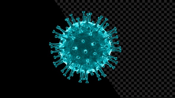 Coronavirus Visualization Covid 19 V3