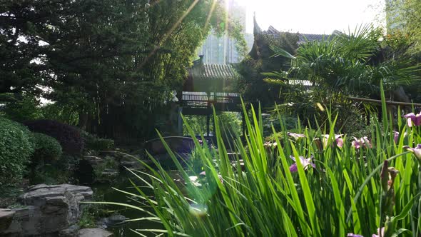 Classical Chinese Park in China. Stones, Pond, Bushes. Bright Green and Purple Flowers in Sun Rays