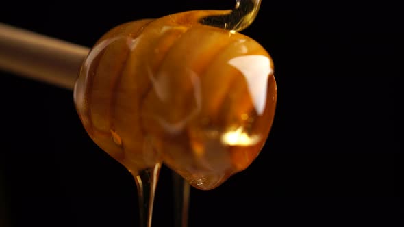 Footage Organic Honey Dripping From Wooden Honey Spoon Background