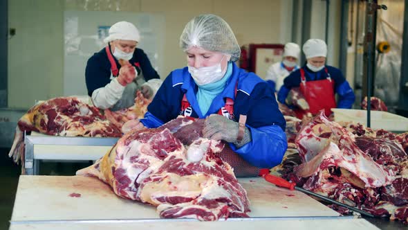 Slaughterhouse Workers Are Dressing Raw Beef