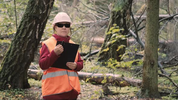 Female Ecologist Documents Damage to Forest After Hurricane Felled Trees Around