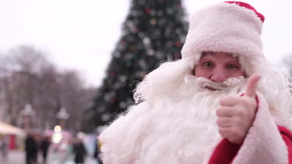 Senior Santa in a Red Coat Shows Thumbs Up on the Background of the Christmas Tree