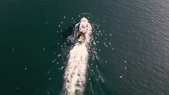 amazing drone shot of fisherman boat with seagulls