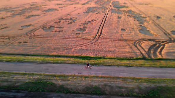A man at sunset rides a bicycle along a yellow wheat field and along a green field. alt