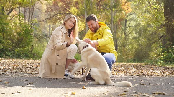 Married Couple Play with a Kind White Pet Dog in the Woods in the Countryside on a Sunny Autumn Day
